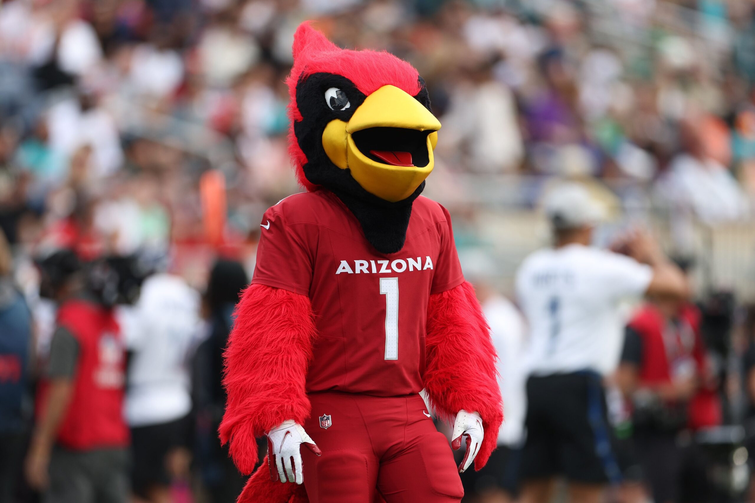 The Arizona Cardinals mascot during the 2024 Pro Bowl at Camping World Stadium.