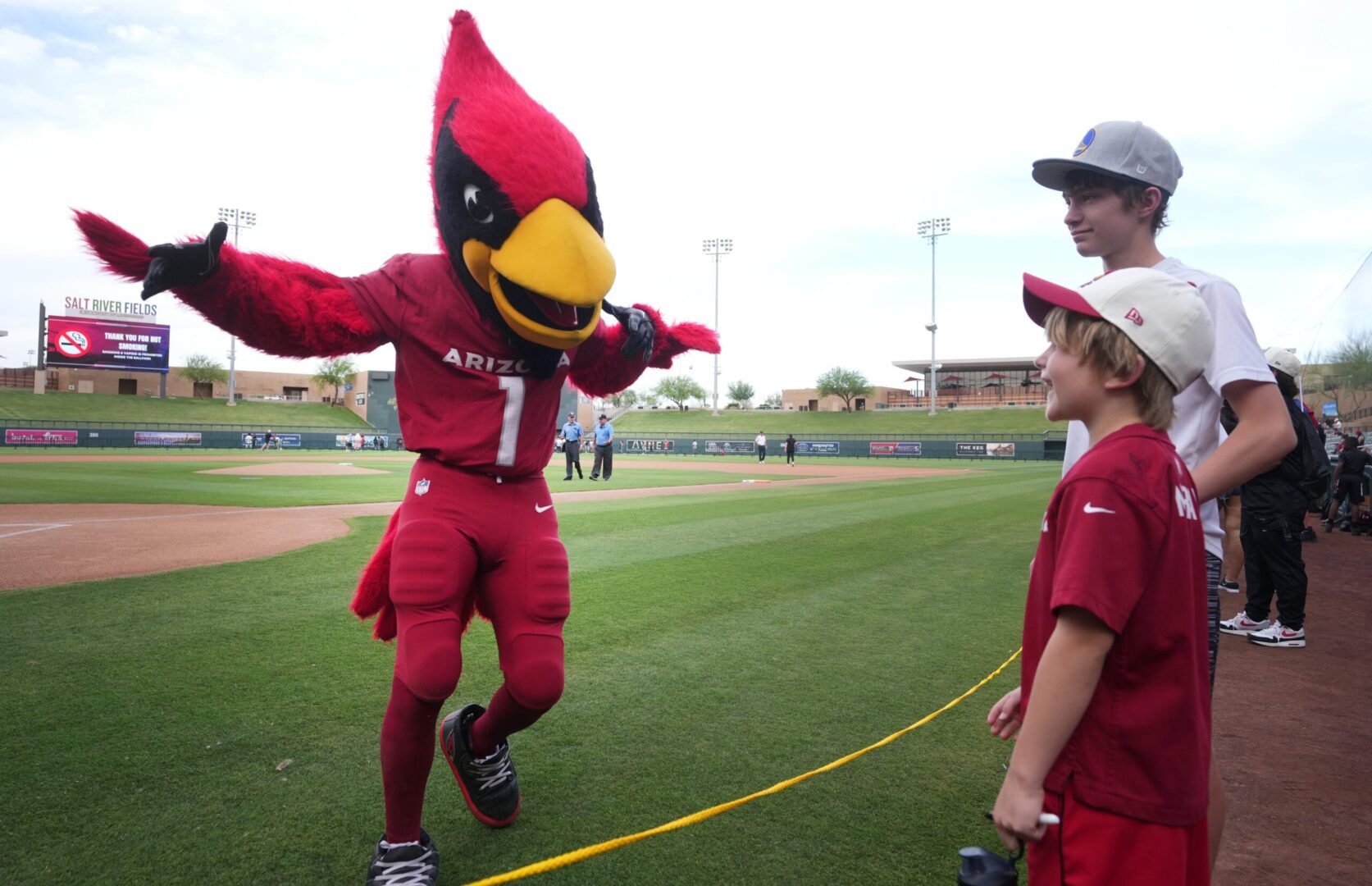 Cardinals