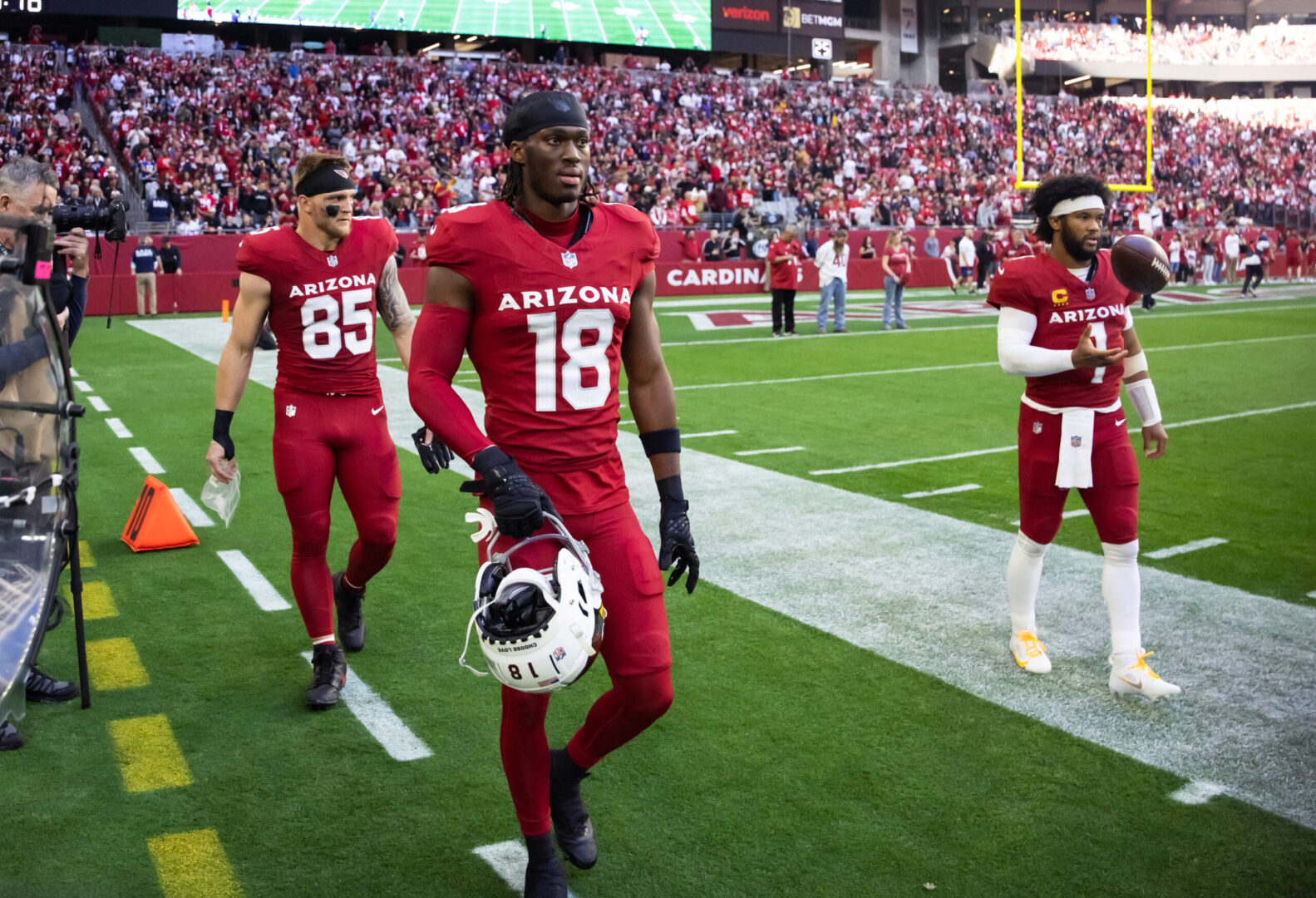 Cardinals