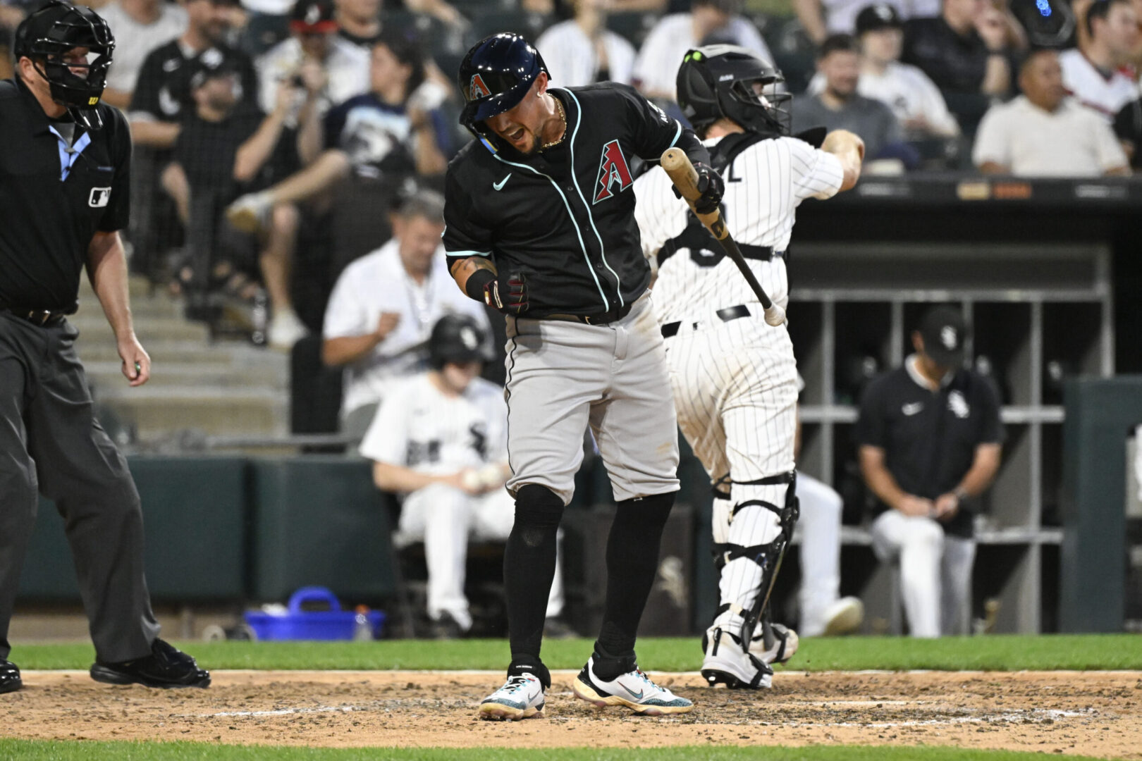 Arizona Diamondbacks D-Backs Ildemaro Vargas MLB