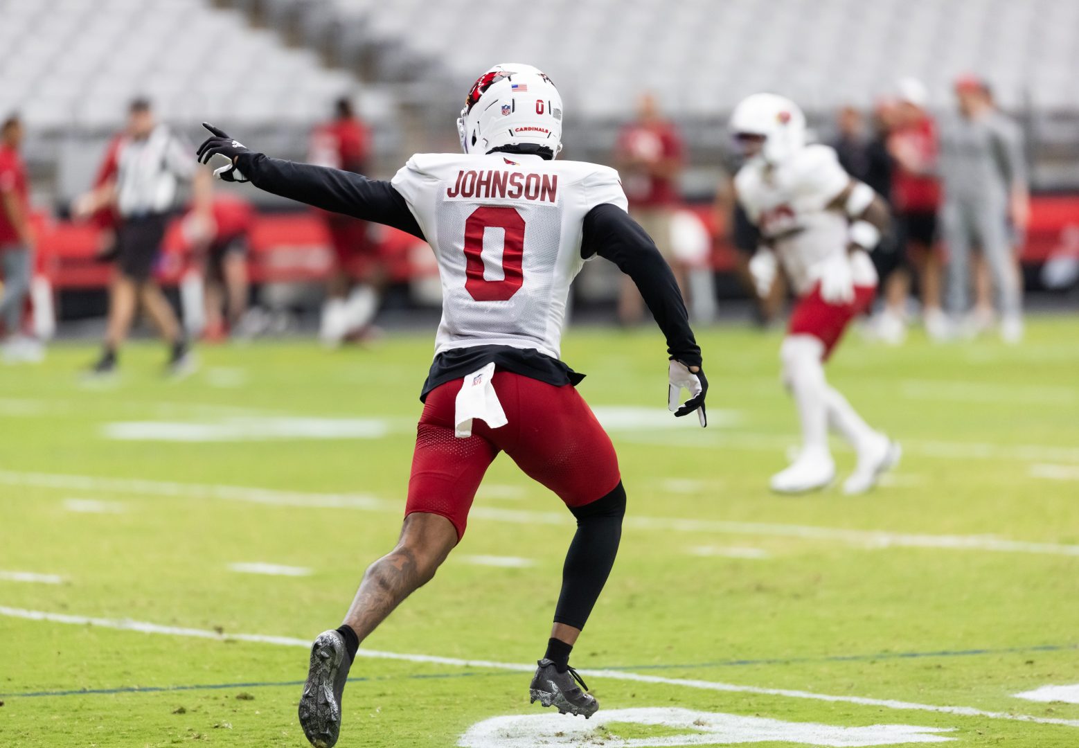 Arizona Cardinals Will Johnson NFL Defensive Rookie of the Year