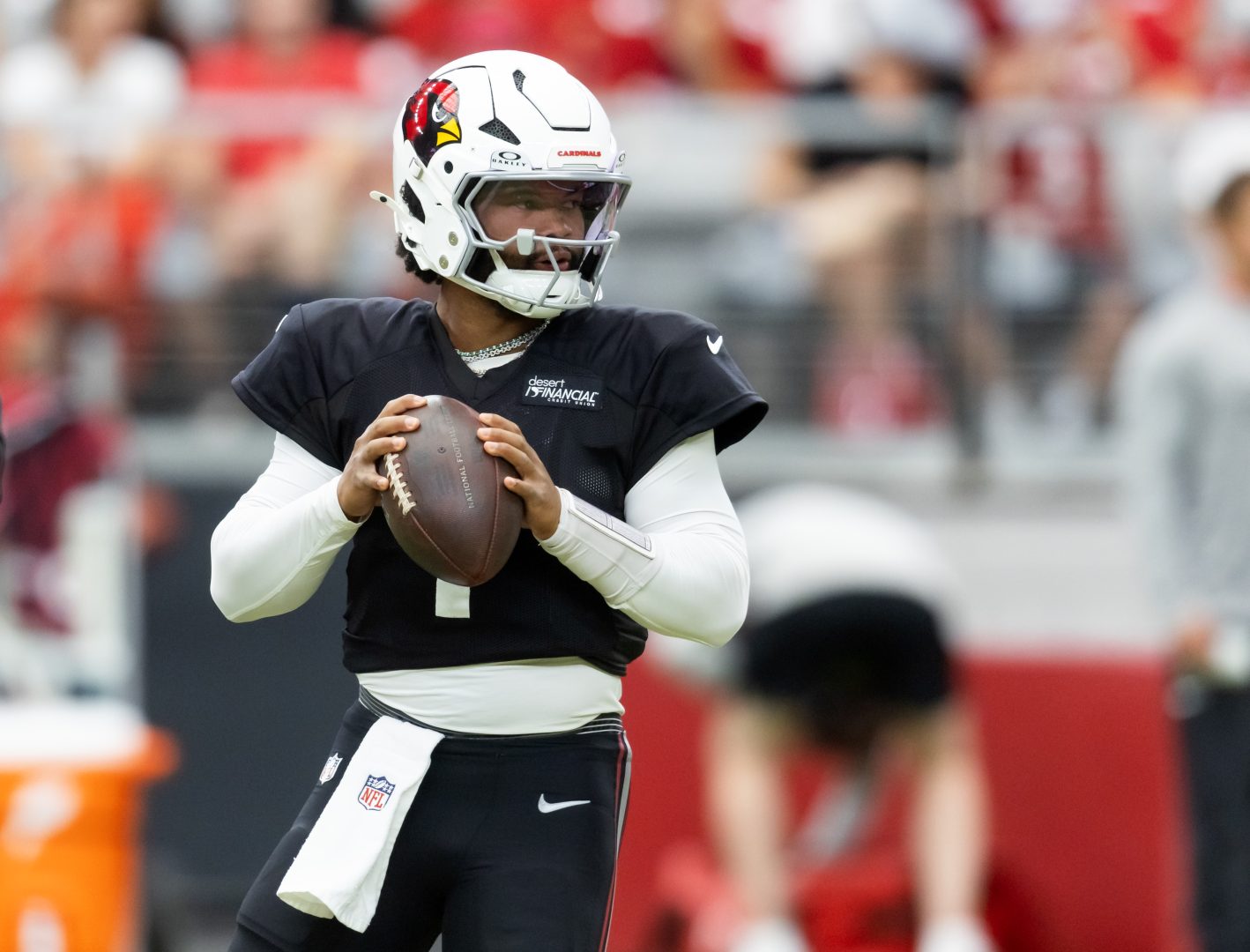 Cardinals