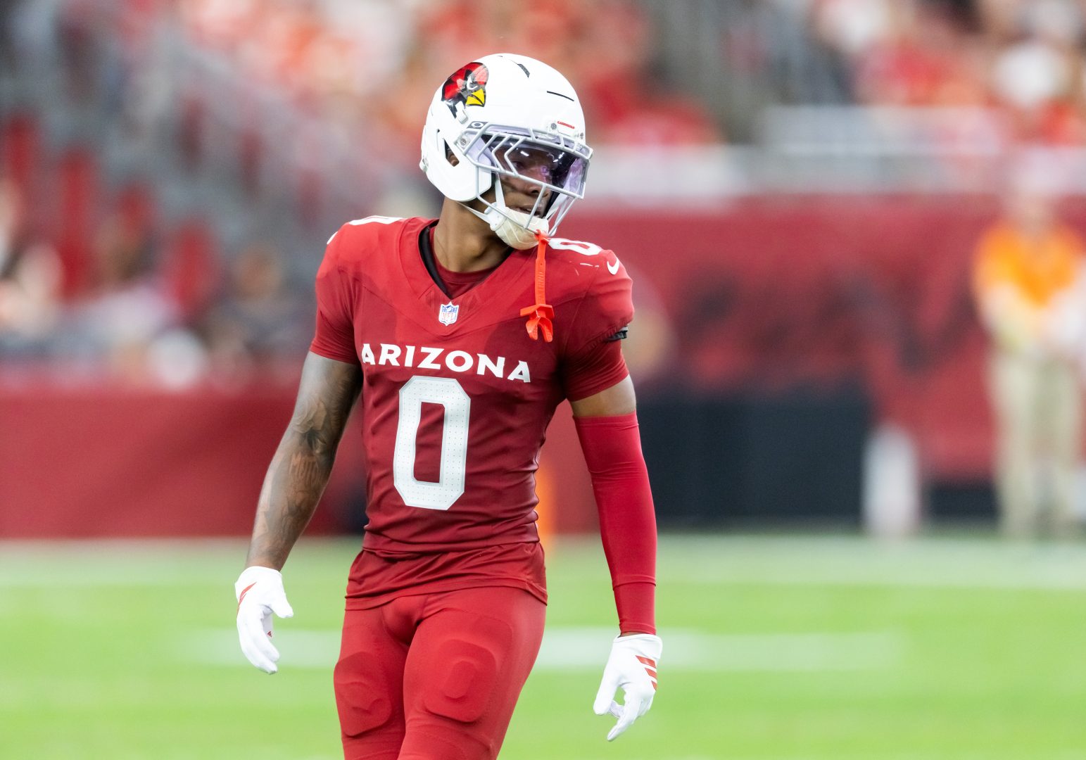 Cardinals