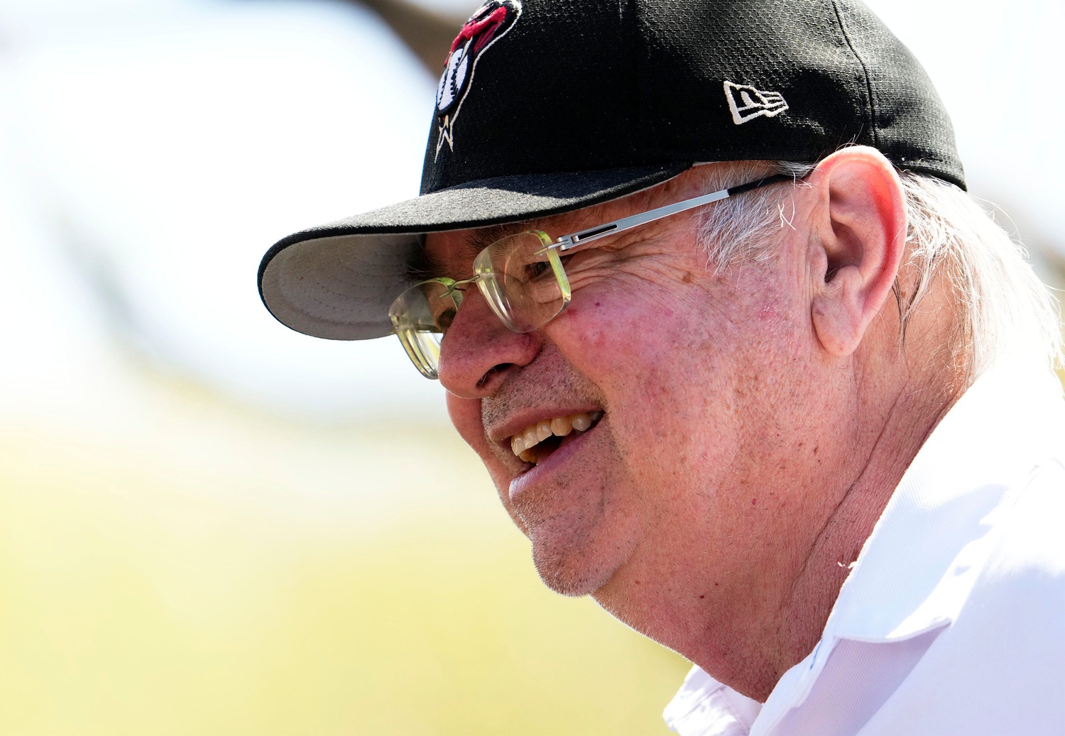 D-Backs Ken Kendrick Arizona Diamondbacks Torey Lovullo