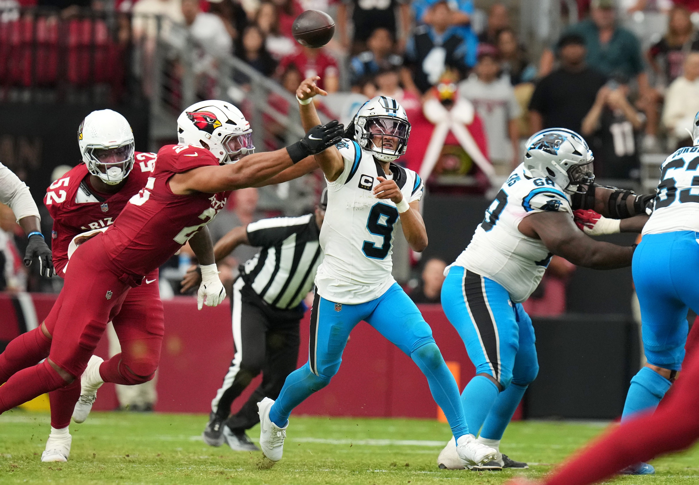 Arizona Cardinals Cardinals fans react MLB Carolina Panthers Drew Petzing Kyler Murray