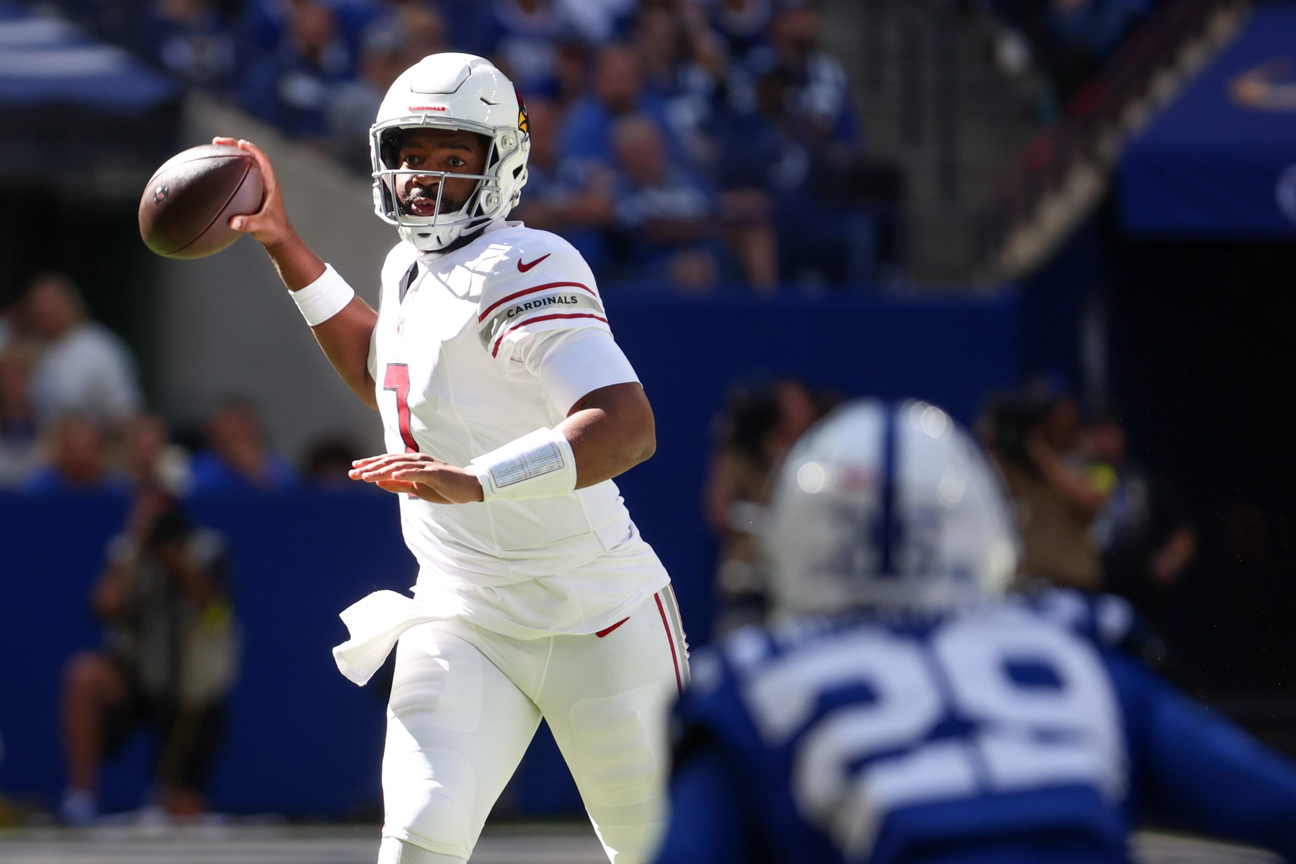 Cardinals