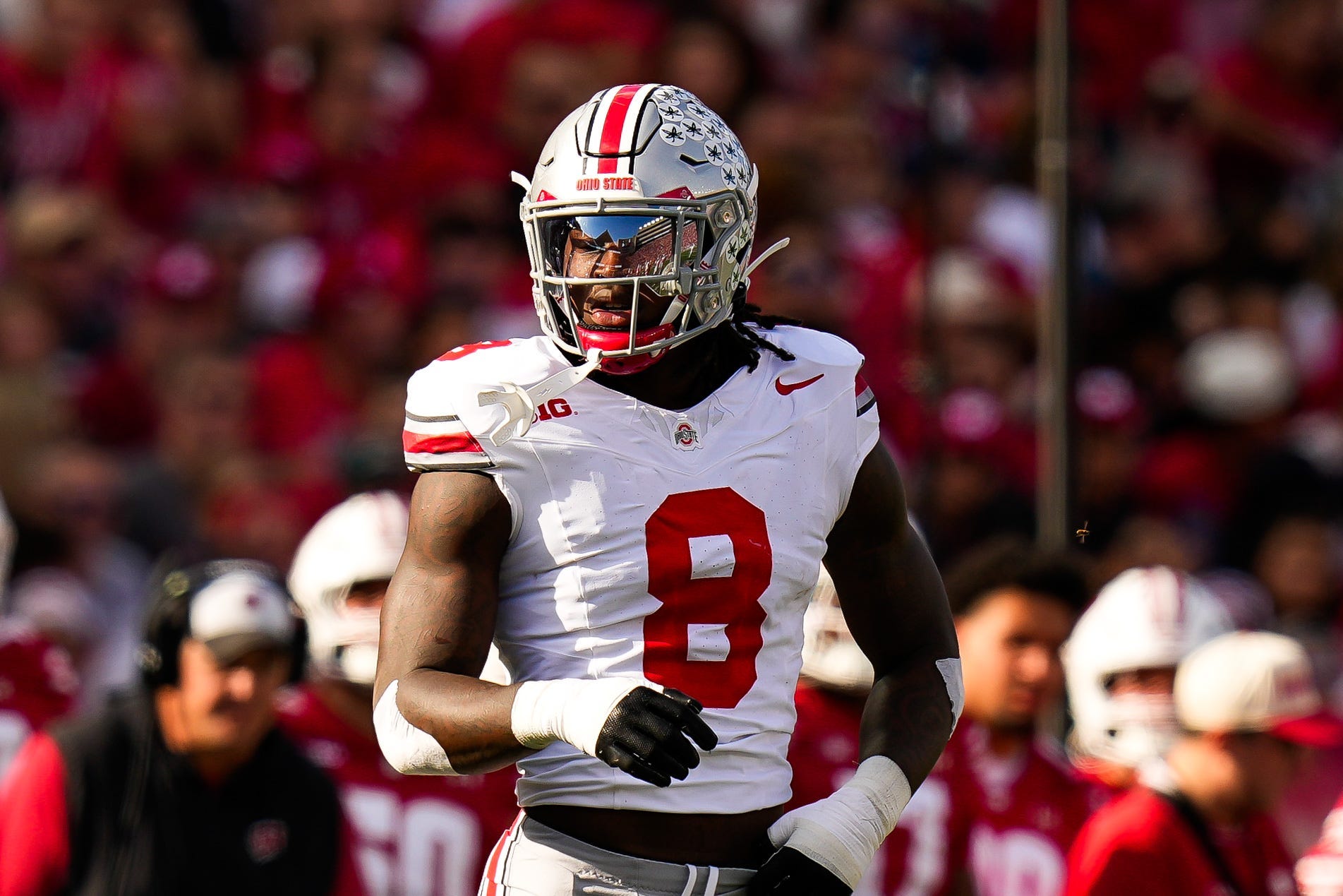 Arizona Cardinals Cardinals fans NFL Draft